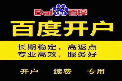百度推广服务费案例：揭秘大品牌推广成功秘诀